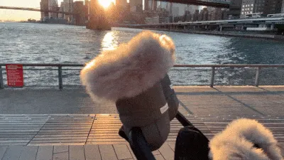 7AM Enfant Warmmuffs