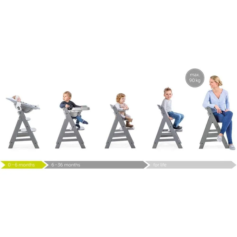 Hauck Alpha Highchair Bundle - Teddy Grey