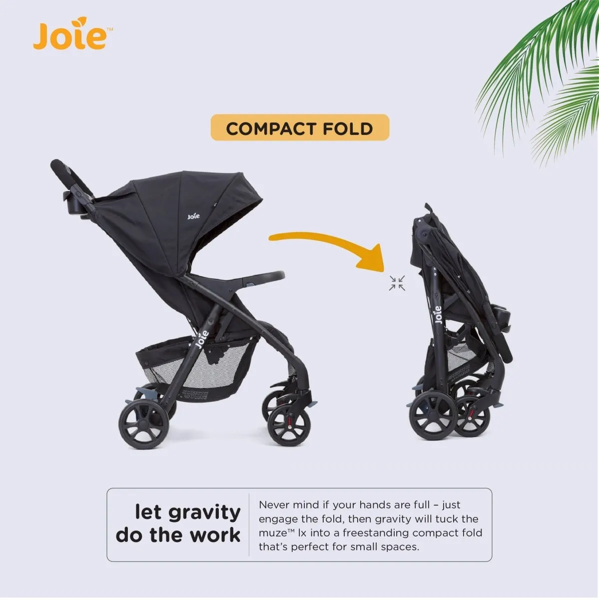 Joie MUZE LX W/ FM