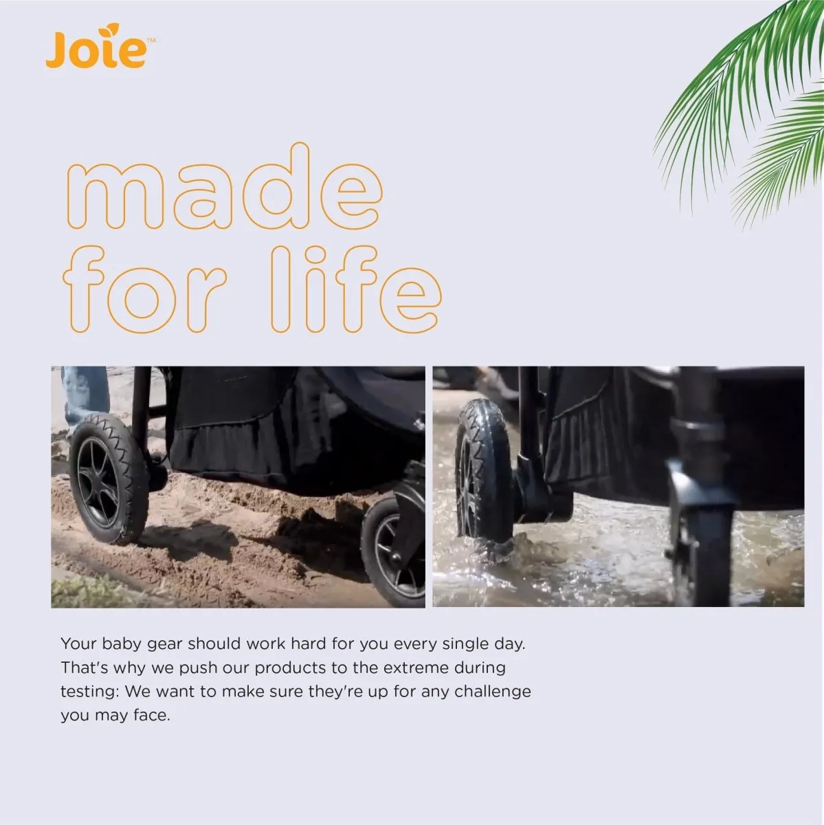 Joie MUZE LX W/ FM