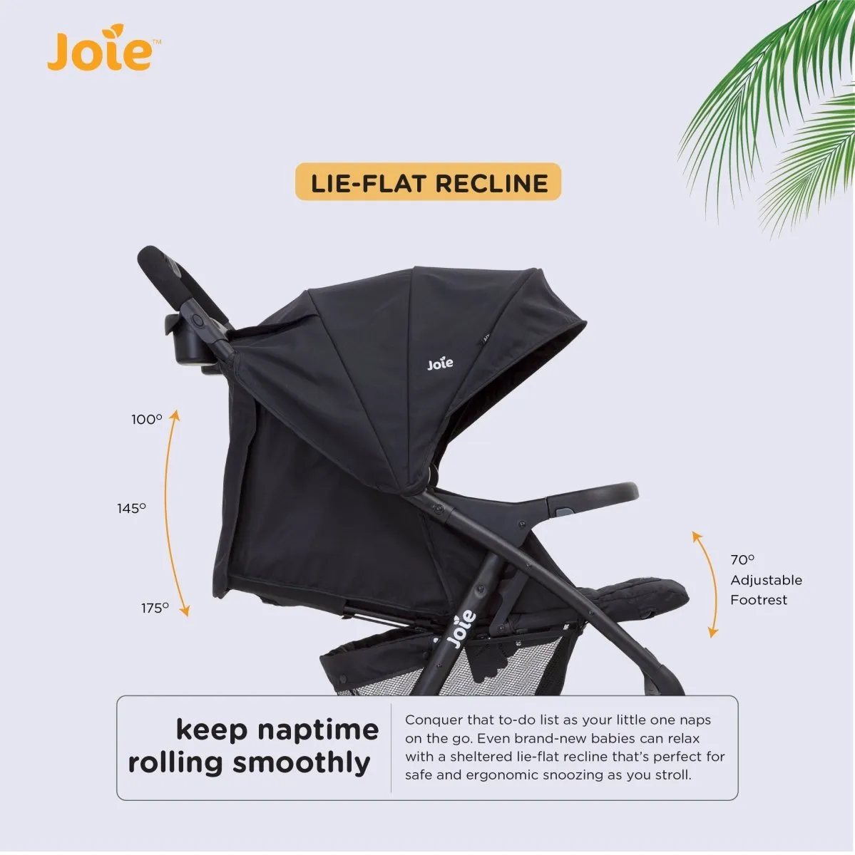 Joie MUZE LX W/ FM