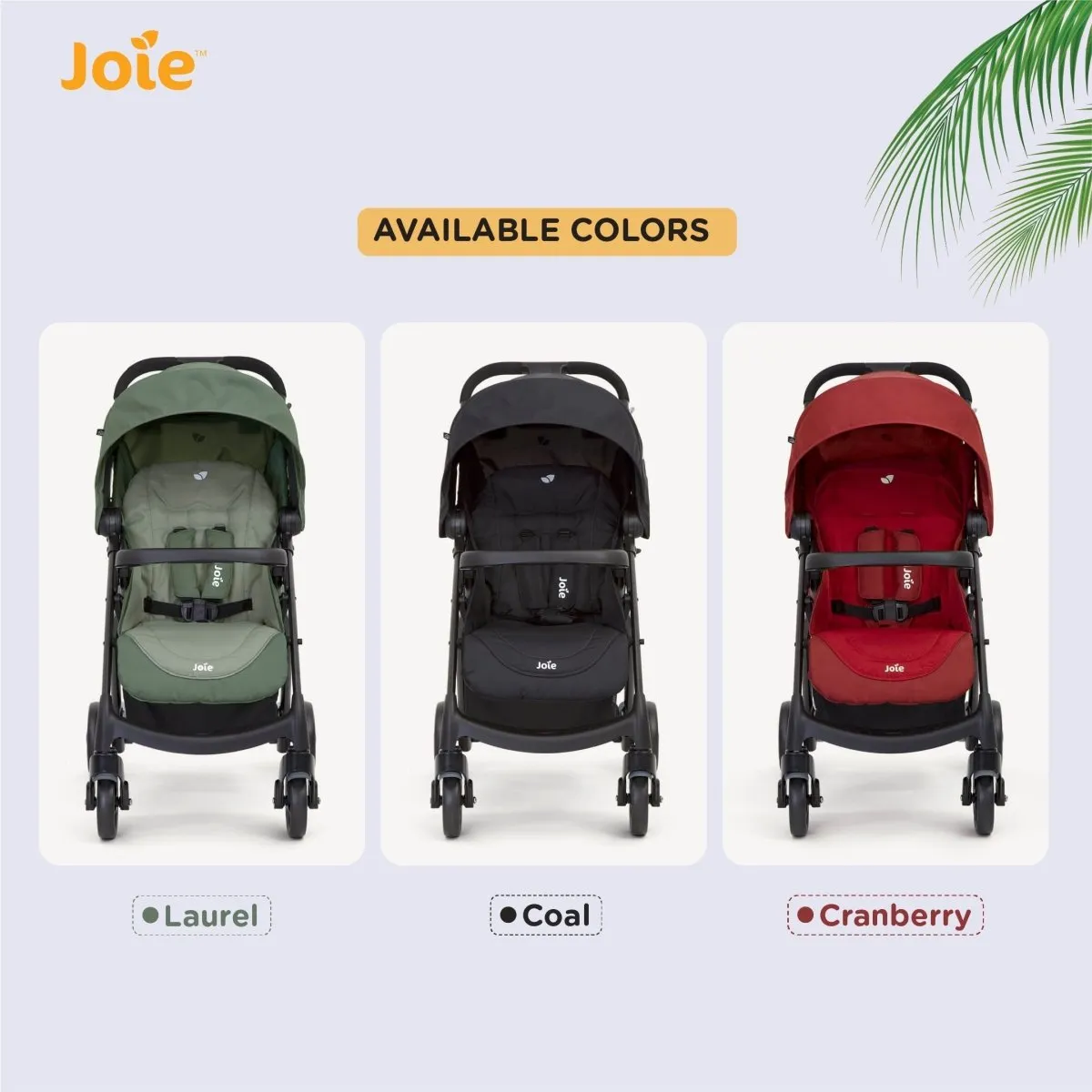 Joie MUZE LX W/ FM
