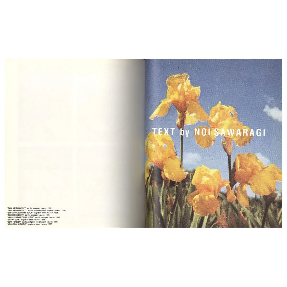 LANDSCAPE AND FLOWERS