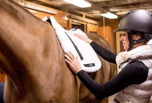 Teddy All-Purpose Saddle Pad