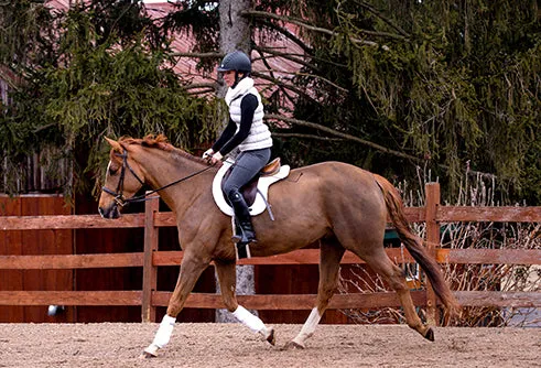 Teddy All-Purpose Saddle Pad